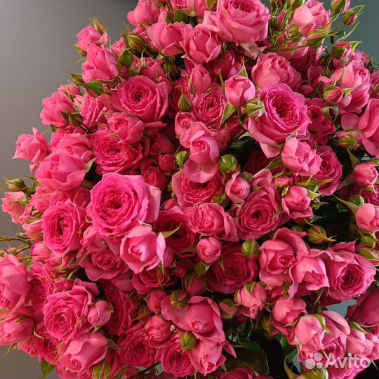 Цветы розы пионовидные Букеты с доставкой