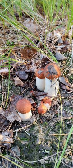 Стройматериалы материалы остатки