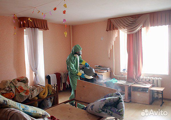 Уничтожение клопов тараканов муравьёв блох