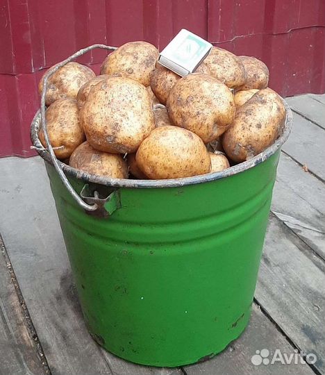 Картофель, свекла, с доставкой