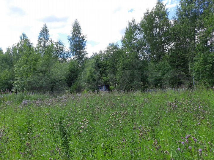 Дом 29 м² на участке 10 сот.