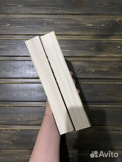 Бисцион. Ана Шерри