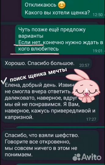 Свой заводчик