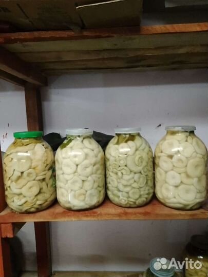 Белые грузди