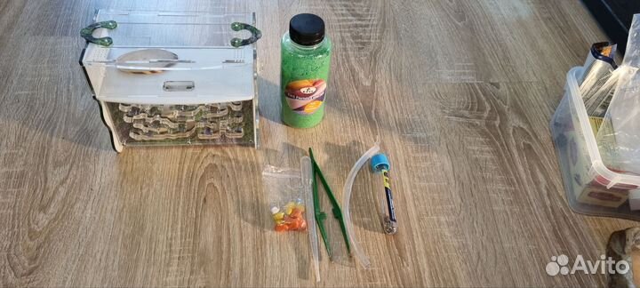 Муравьиная ферма Mr. Ant вертикальная