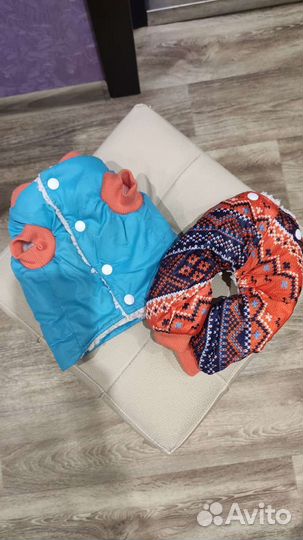 Комбинезон для маленькой собаки