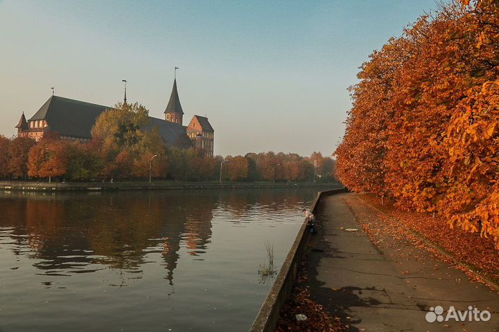 Экскурсии по Калининграду и области
