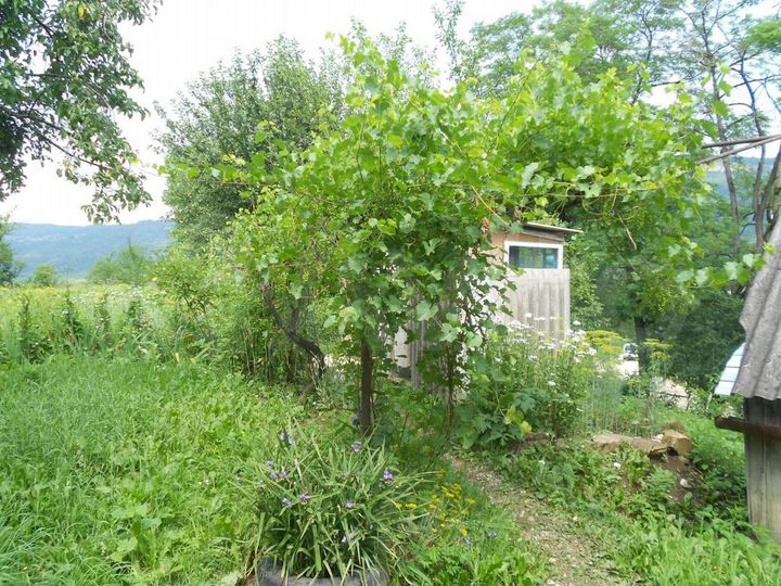 Дом 40,6 м² на участке 6,5 сот.