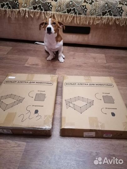 Вольер для щенков бу