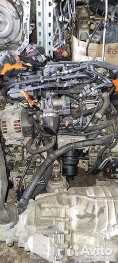 Двигатель Audi A4 B7 BWE 2008