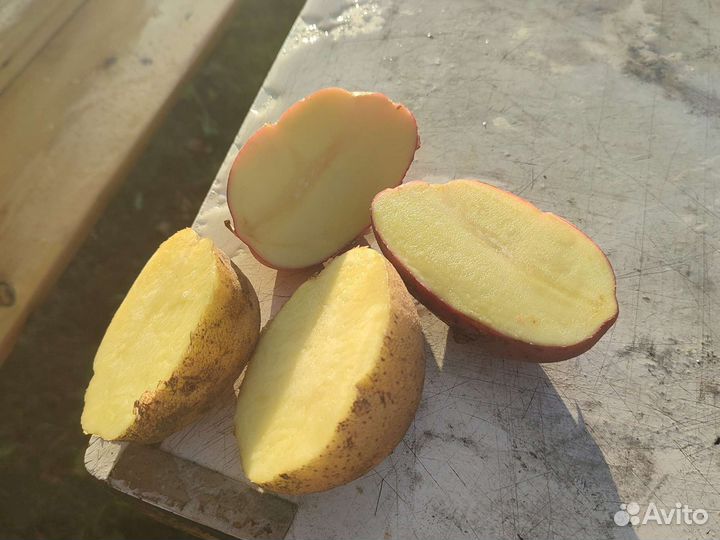 Продам картофель