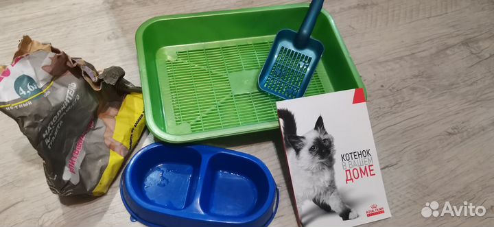 Лоток для кошек