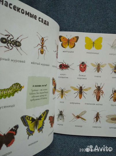 Детская энциклопедия малыша новая