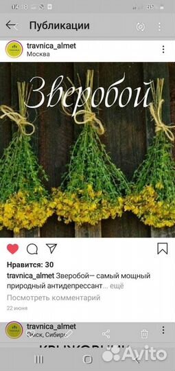 Смола кедра-живица. Уникальное природное средство