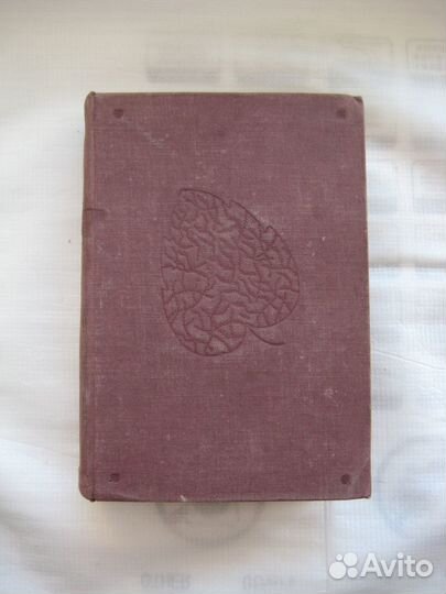 Лион Фейхтвангер. Успех. 1935