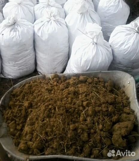 Перегной,навоз