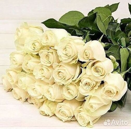 Букет роз 101 роза 51 роза