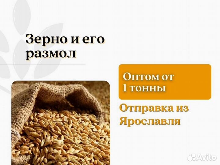 Пшеница Размол (кг)