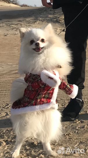 Мальчик ищет подружку