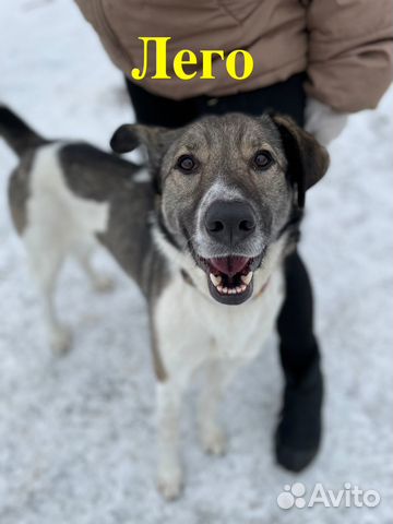 Лего из приюта