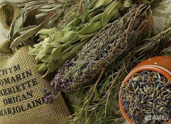 Сбор с травами от паразитов в организме