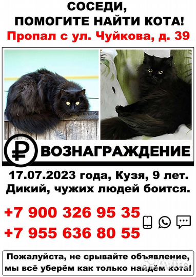 Поиск в казани