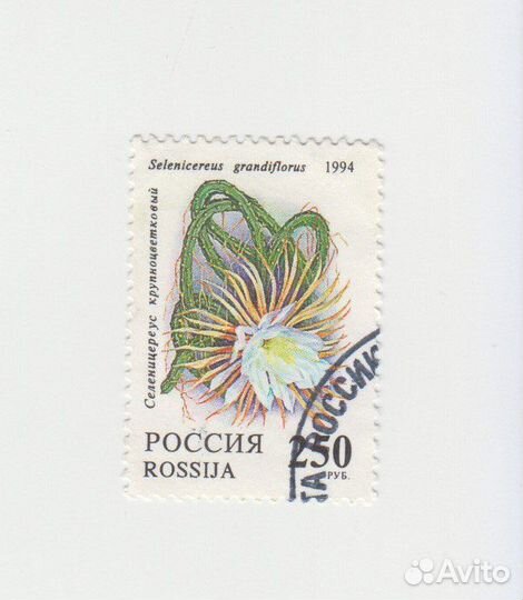 Почтовая марка Флора Россия 1994