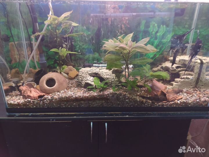 Аквариум на 120 л в отличном рабочем состоянии, со