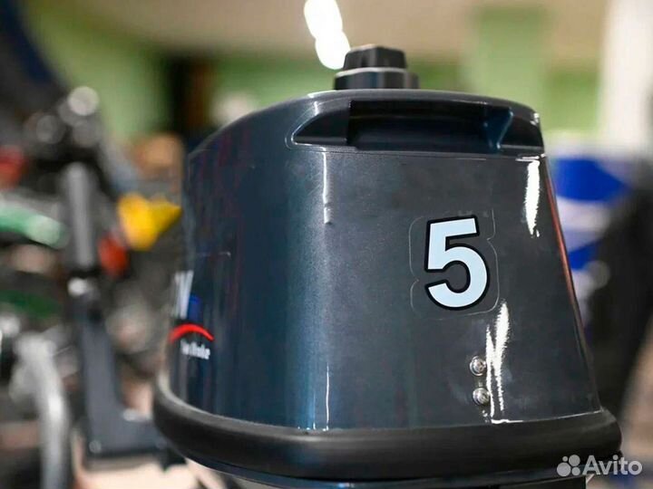 Лодочный мотор Tarpon T 5 S витрина