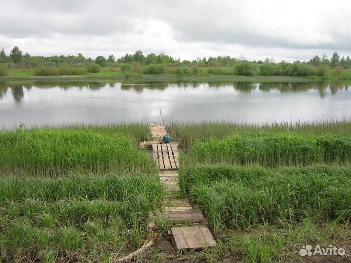 Место для пикника