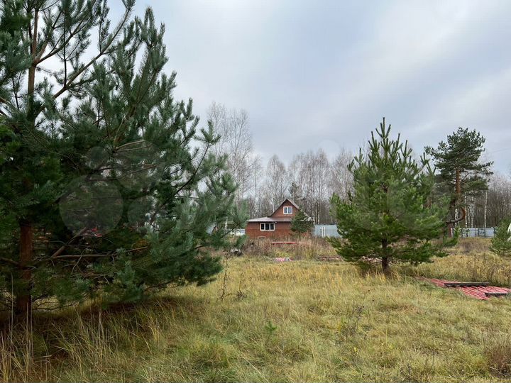 Участок 6,2 га (СНТ, ДНП)