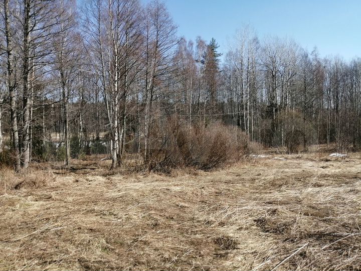 Участок 20 сот. (ИЖС)