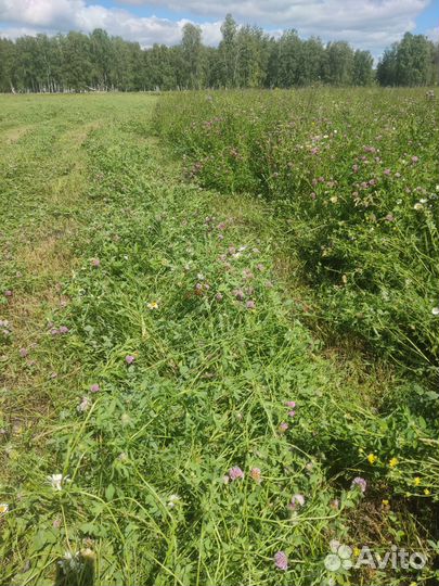 Сено в рулонах