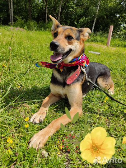 Сестрёнки с приюта