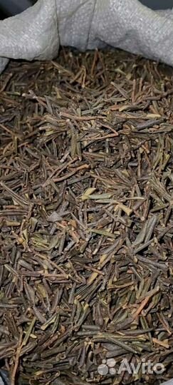 Саган дайля