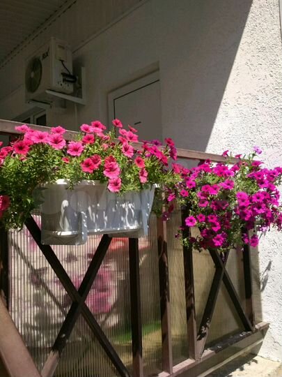 Комната 15 м² в 1-к., 1/1 эт.