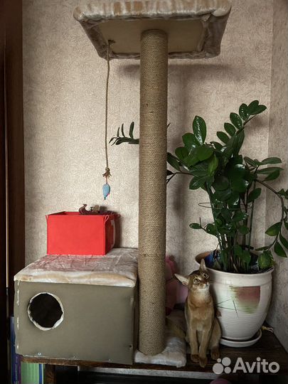 Когтеточка домик для кошки