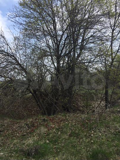 Участок 70 сот. (ИЖС)