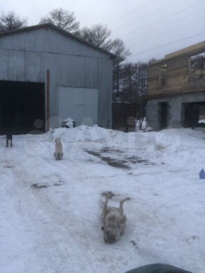 Участок 30 сот. (ИЖС)