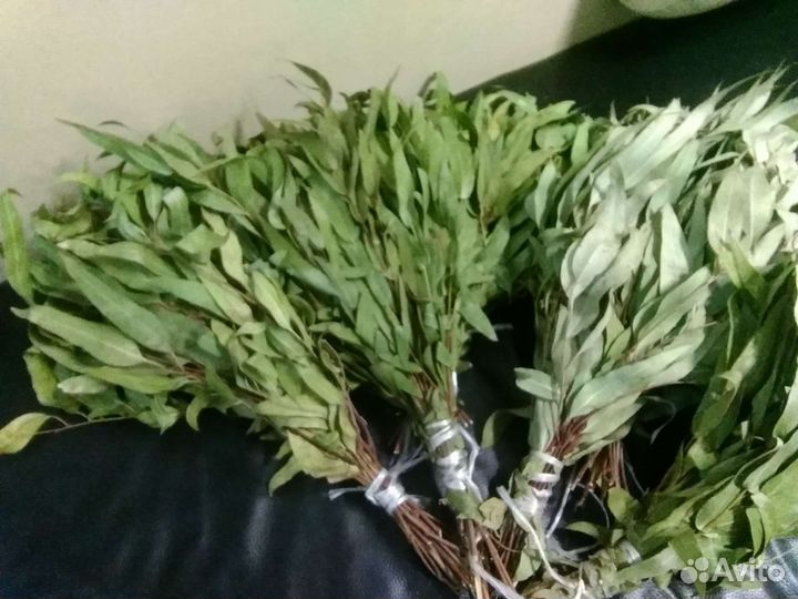 Эвкалиптовые веники,сбор 23года