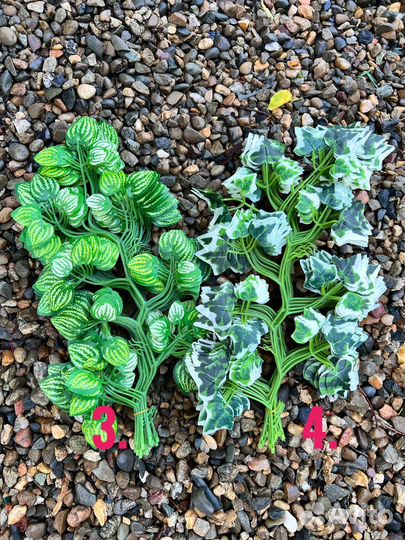 Искусственные растения для декора