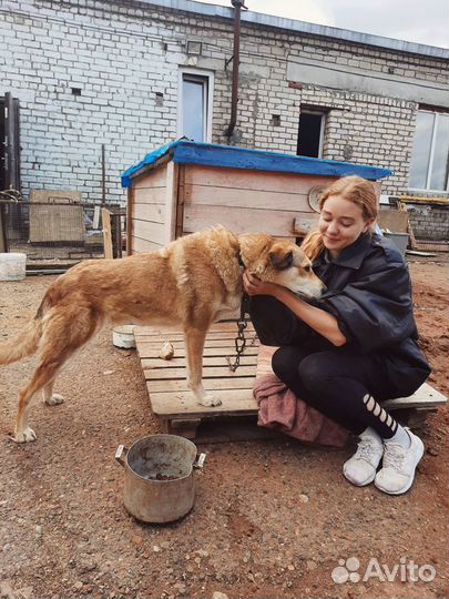 Уход за животными