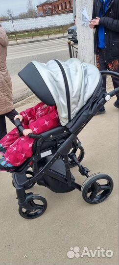 Коляска 2 в 1 adamex