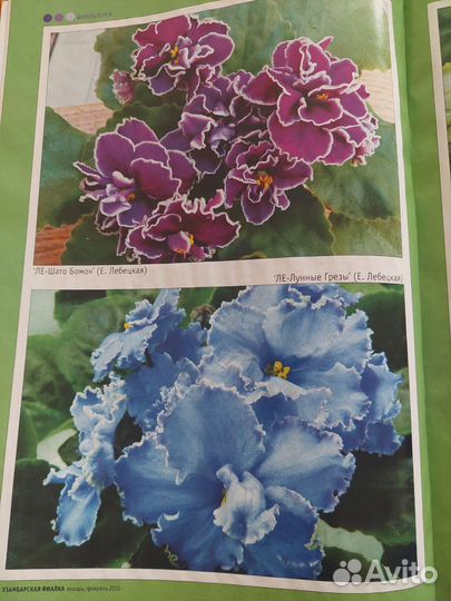 Журналы про комнатные цветы