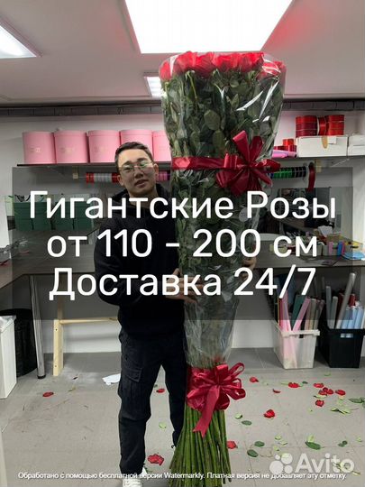 Большие розы от производителя