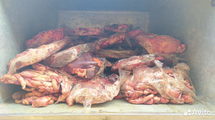 Мясо и субпродукты для животных