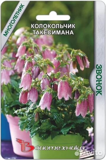 Колокольчик Такешимана 