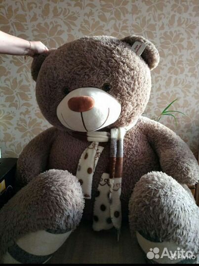 Большие плюшевые медведи