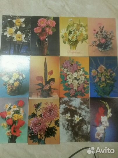 Цветы 1966-70гг
