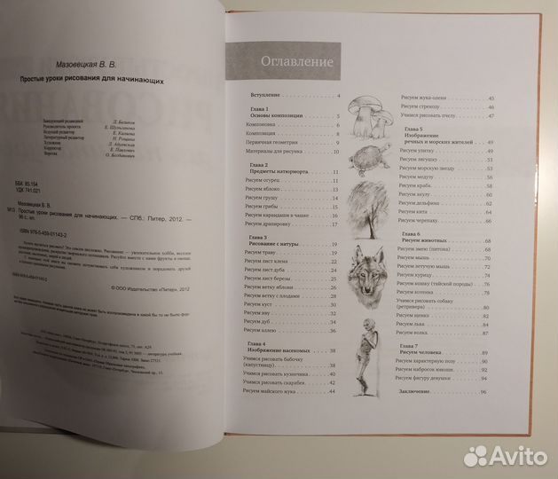 Книга. Простые уроки рисования для начинающих